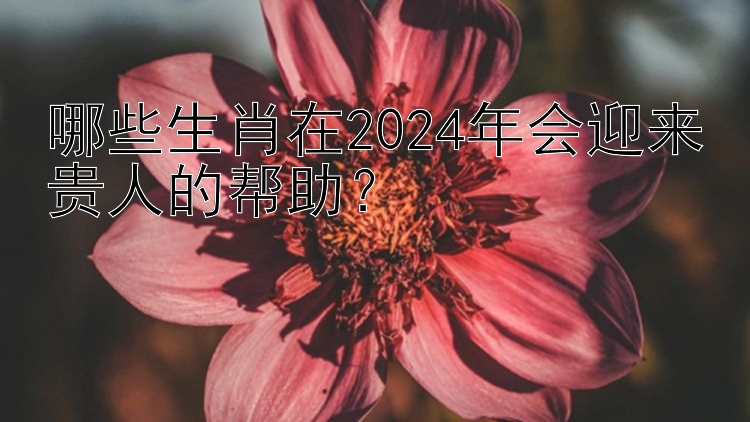 哪些生肖在2024年会迎来贵人的帮助？