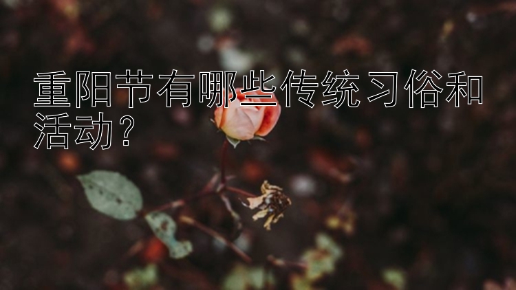 重阳节有哪些传统习俗和活动？