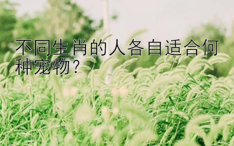 不同生肖的人各自适合何种宠物？