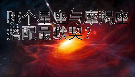 哪个星座与摩羯座搭配最默契？