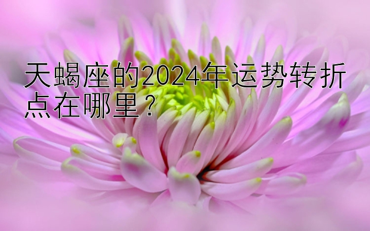 天蝎座的2024年运势转折点在哪里？