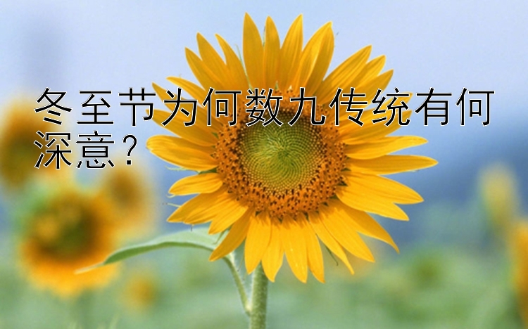 冬至节为何数九传统有何深意？