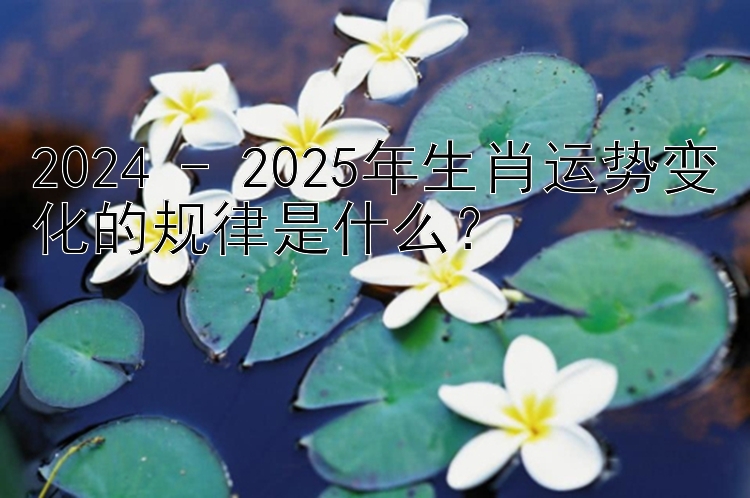 2024 - 2025年生肖运势变化的规律是什么？