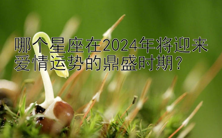 哪个星座在2024年将迎来爱情运势的鼎盛时期？