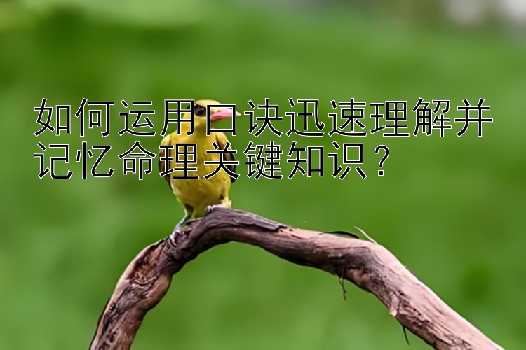 如何运用口诀迅速理解并记忆命理关键知识？