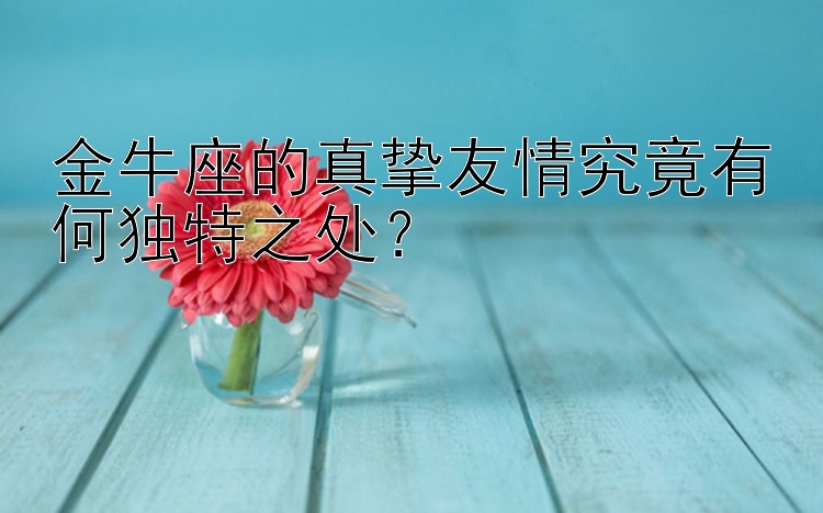 金牛座的真挚友情究竟有何独特之处？