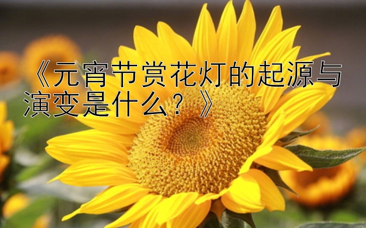 《元宵节赏花灯的起源与演变是什么？》