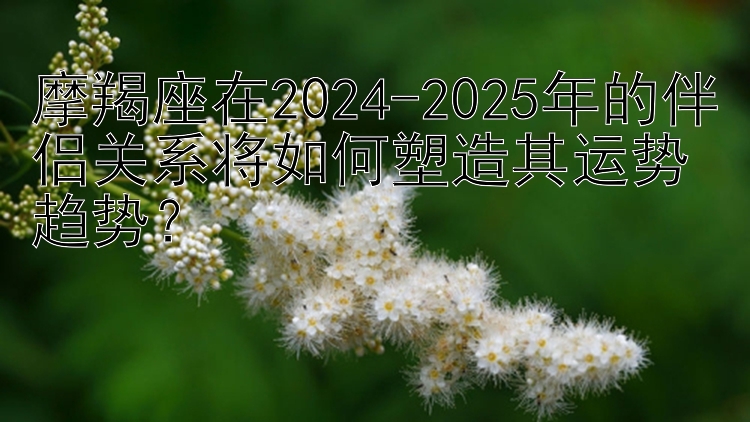 摩羯座在2024-2025年的伴侣关系将如何塑造其运势趋势？