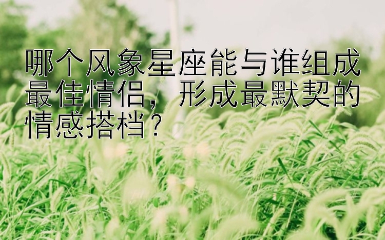 哪个风象星座能与谁组成最佳情侣，形成最默契的情感搭档？