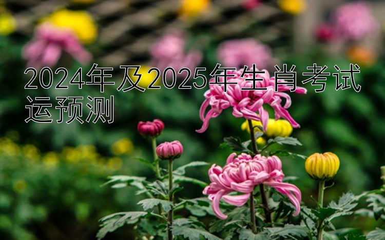 2024年及2025年生肖考试运预测