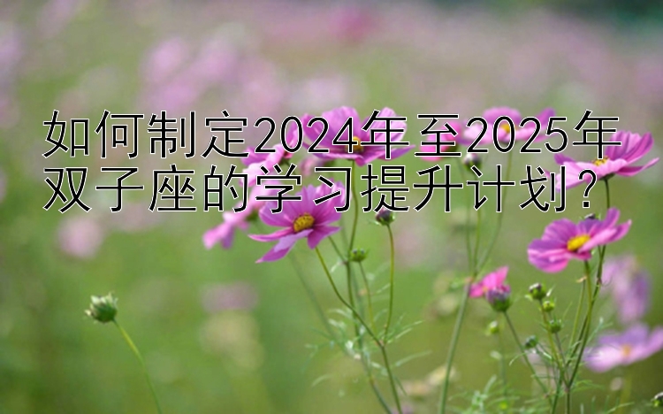 如何制定2024年至2025年双子座的学习提升计划？