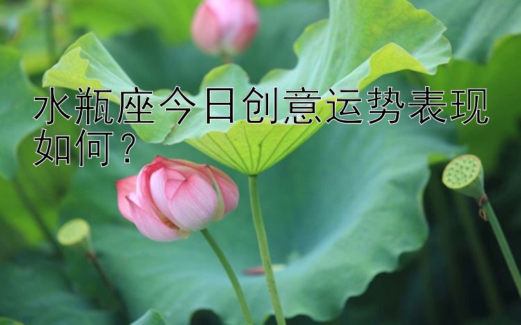 水瓶座今日创意运势表现如何？