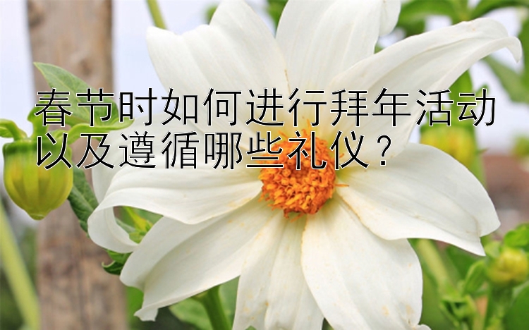 春节时如何进行拜年活动以及遵循哪些礼仪？