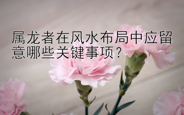 属龙者在风水布局中应留意哪些关键事项？