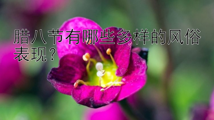 腊八节有哪些多样的风俗表现？