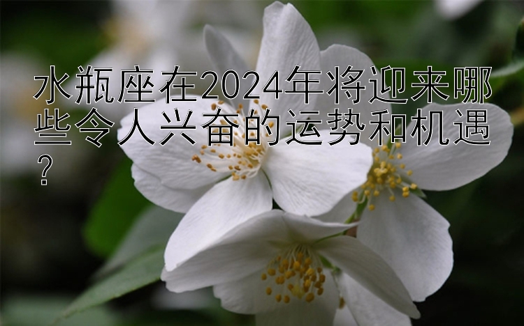 水瓶座在2024年将迎来哪些令人兴奋的运势和机遇？