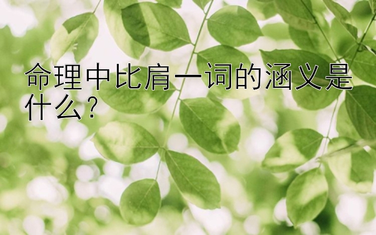 命理中比肩一词的涵义是什么？