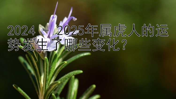 2024 - 2025年属虎人的运势发生了哪些变化？