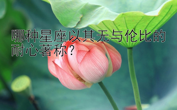 哪种星座以其无与伦比的耐心著称？