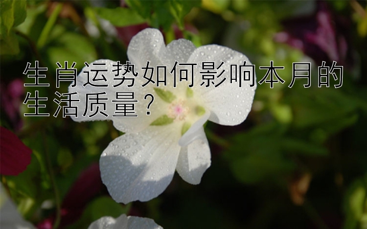 生肖运势如何影响本月的生活质量？