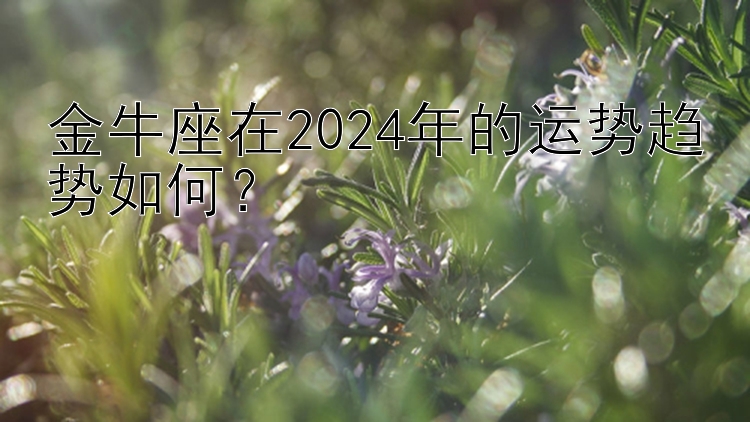 金牛座在2024年的运势趋势如何？