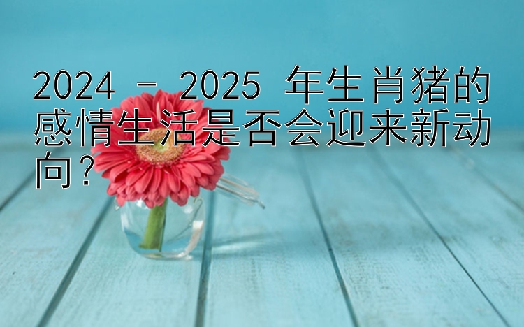 2024 - 2025 年生肖猪的感情生活是否会迎来新动向？