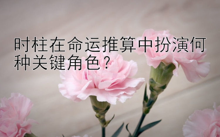 时柱在命运推算中扮演何种关键角色？