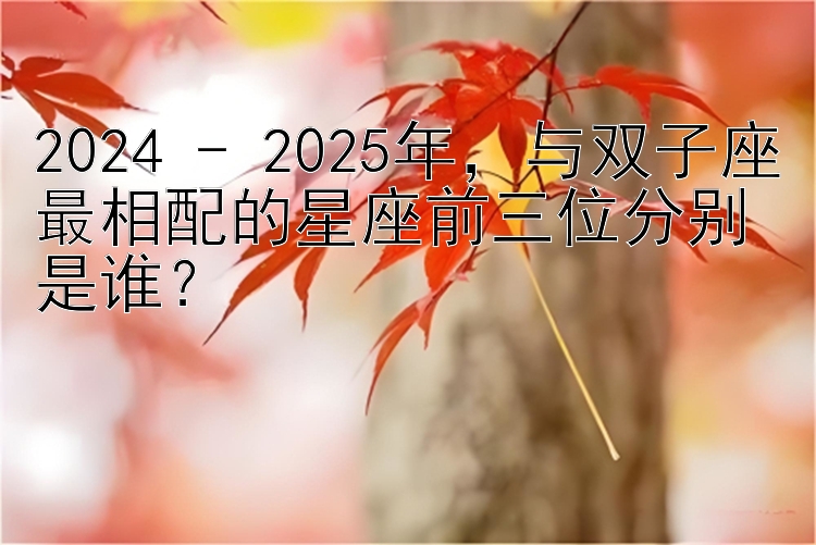 2024 - 2025年，与双子座最相配的星座前三位分别是谁？