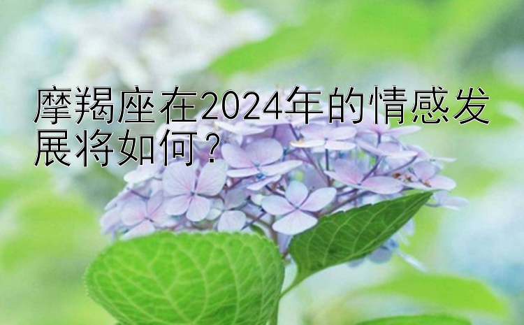 摩羯座在2024年的情感发展将如何？