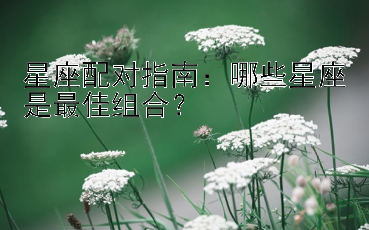 星座配对指南：哪些星座是最佳组合？