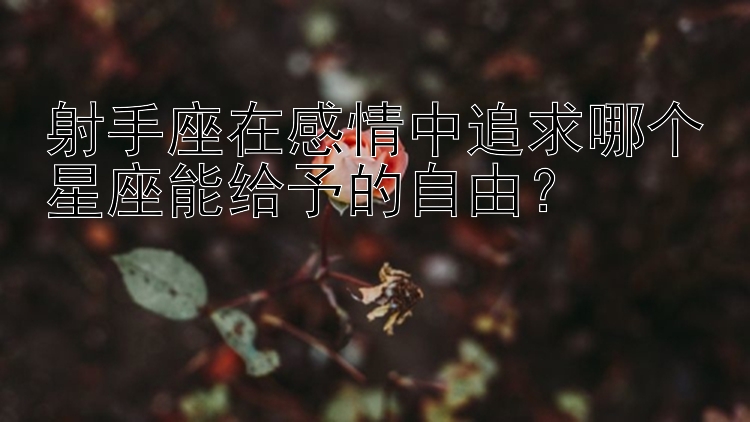 射手座在感情中追求哪个星座能给予的自由？