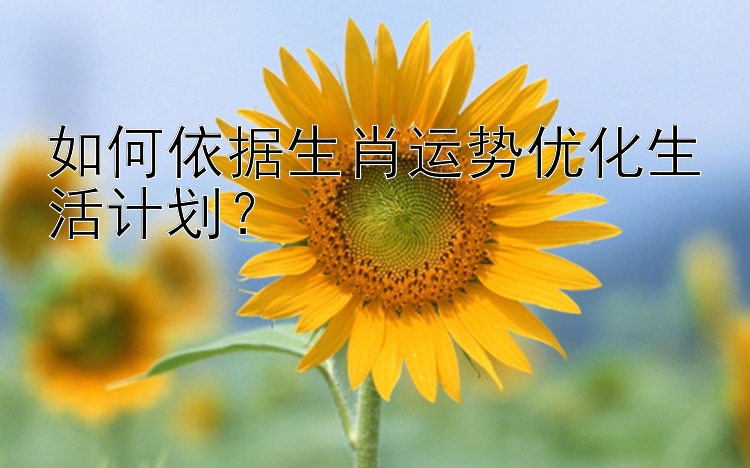 如何依据生肖运势优化生活计划？