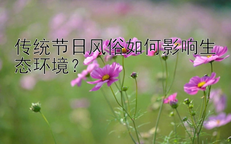 传统节日风俗如何影响生态环境？