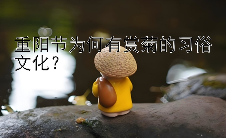 重阳节为何有赏菊的习俗文化？