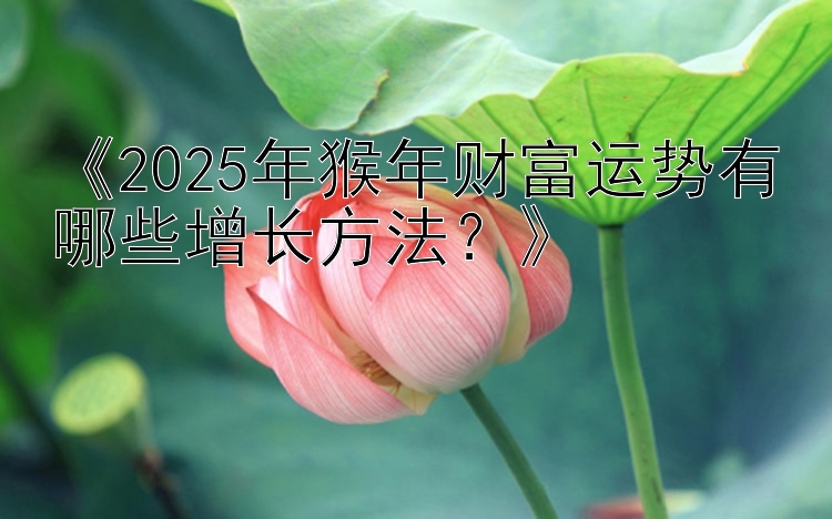 《2025年猴年财富运势有哪些增长方法？》