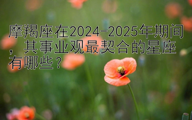 摩羯座在2024-2025年期间，其事业观最契合的星座有哪些？