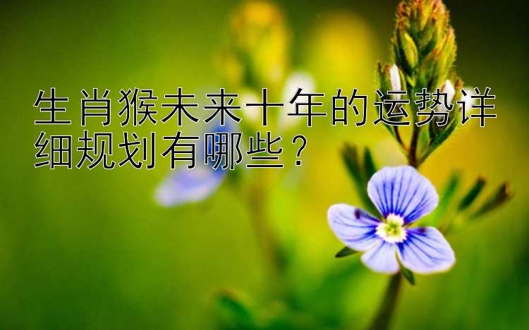 生肖猴未来十年的运势详细规划有哪些？