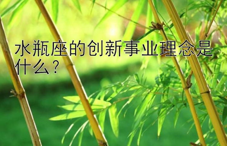 水瓶座的创新事业理念是什么？