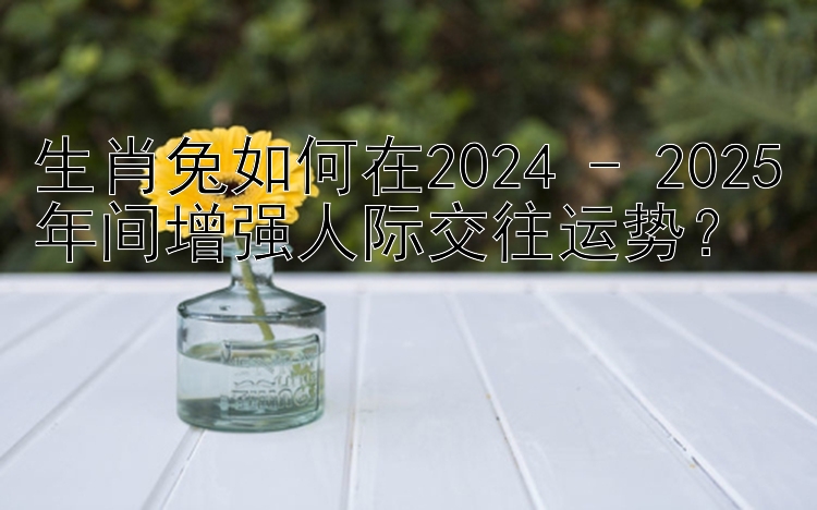 生肖兔如何在2024 - 2025年间增强人际交往运势？