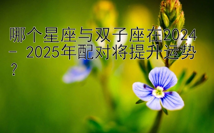 哪个星座与双子座在2024 - 2025年配对将提升运势？