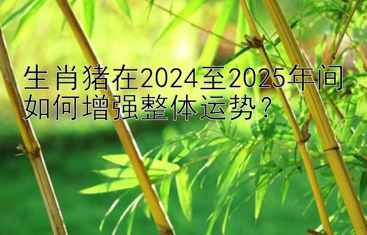 生肖猪在2024至2025年间如何增强整体运势？