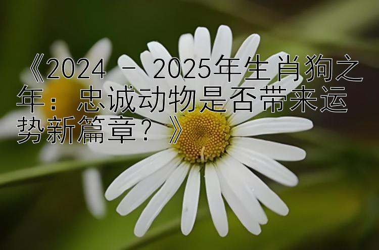 《2024 - 2025年生肖狗之年：忠诚动物是否带来运势新篇章？》