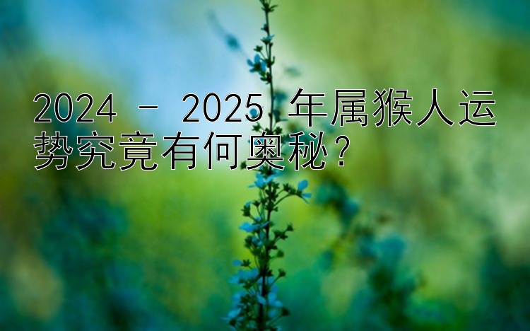 2024 - 2025 年属猴人运势究竟有何奥秘？