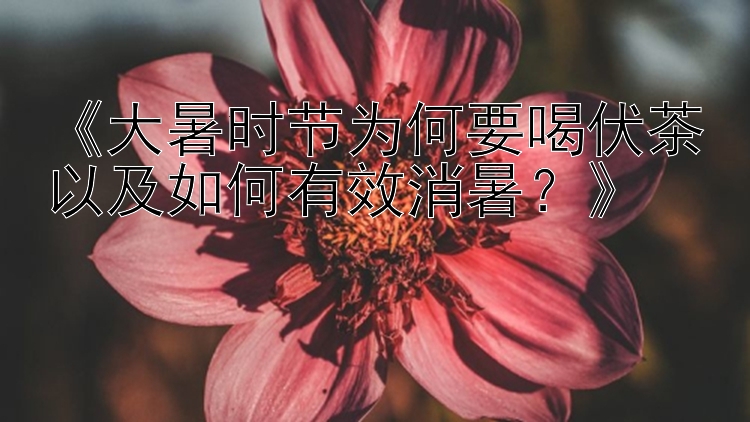 《大暑时节为何要喝伏茶以及如何有效消暑？》