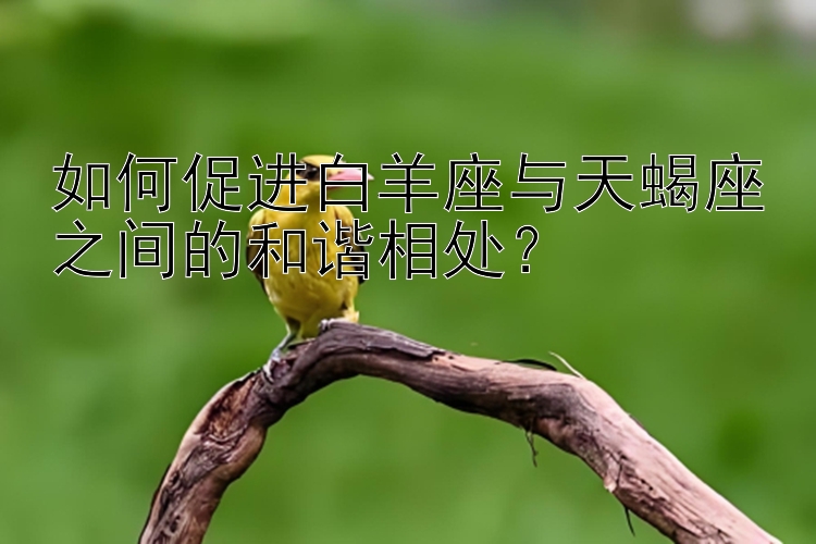 如何促进白羊座与天蝎座之间的和谐相处？