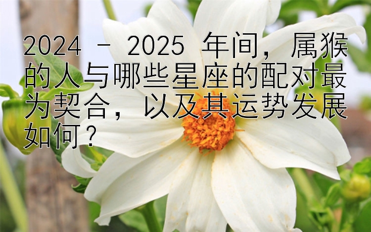 2024 - 2025 年间，属猴的人与哪些星座的配对最为契合，以及其运势发展如何？