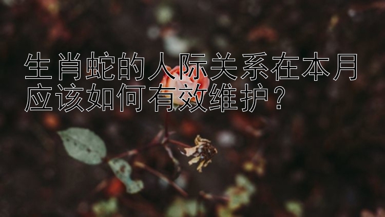 生肖蛇的人际关系在本月应该如何有效维护？