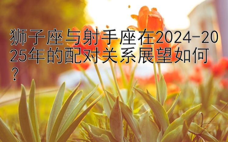 狮子座与射手座在2024-2025年的配对关系展望如何？