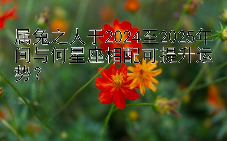 属兔之人于2024至2025年间与何星座相配可提升运势？