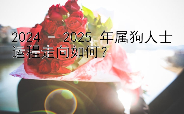 2024 - 2025 年属狗人士运程走向如何？